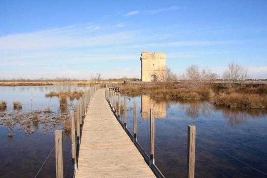 Vacances En Camargue Proche De La Mer Climatise Эг-Морт Экстерьер фото