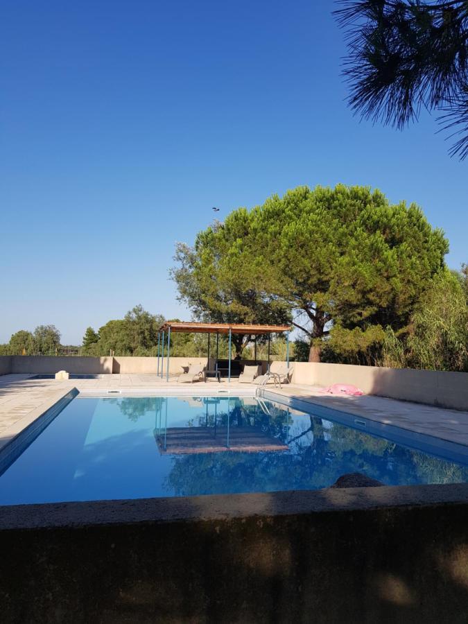Vacances En Camargue Proche De La Mer Climatise Эг-Морт Экстерьер фото