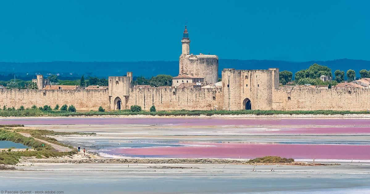 Vacances En Camargue Proche De La Mer Climatise Эг-Морт Экстерьер фото