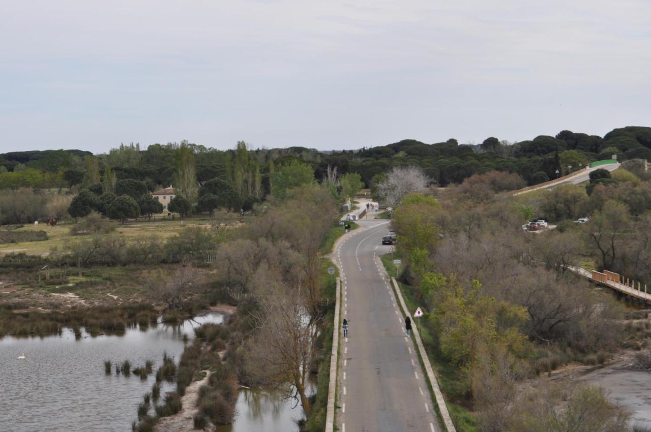 Vacances En Camargue Proche De La Mer Climatise Эг-Морт Экстерьер фото